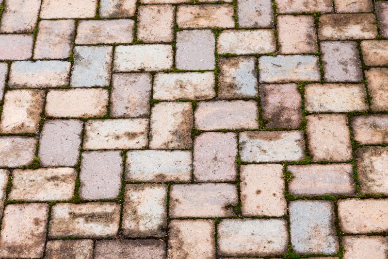 Brick Flatwork Repair in Venice, FL