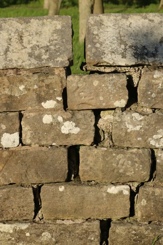 Stone Wall Repair in Arcadia, FL